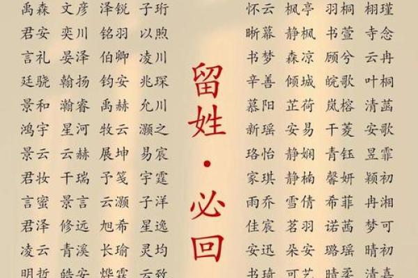 2019年4月24号寅时出生的男孩应该起什么样的名字姓名