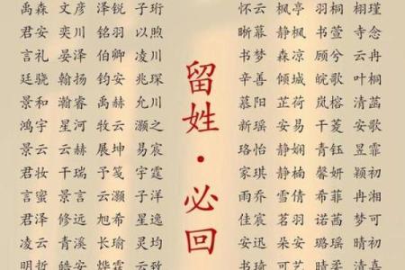 2019年4月24号寅时出生的男孩应该起什么样的名字姓名