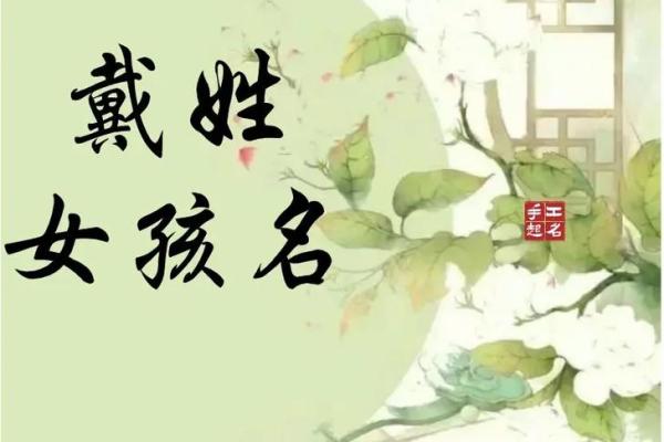 戴姓男孩名字大全-戴姓男孩起名字大全-戴姓名字大全姓名