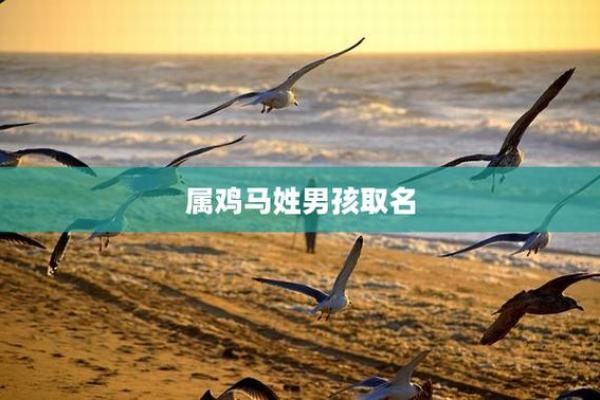 下午出生的属鸡男孩宜用什么字起名字姓名 下午出生的属鸡男孩宜用什么字起名字姓名