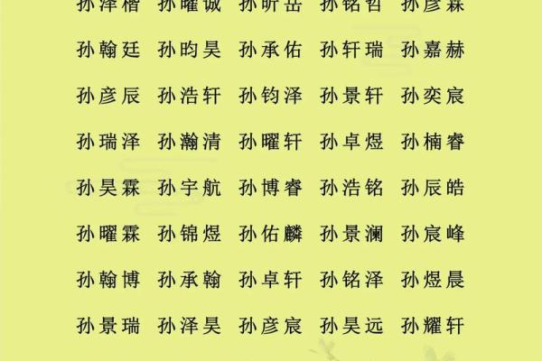 2019年5月19号寅时出生的男孩应该起什么样的名字姓名