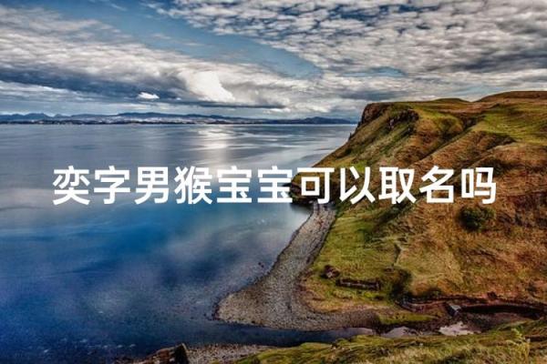 1月份出生的属猴男孩该怎么取名才好姓名 1月份出生的属猴男孩该怎么取名才好姓名