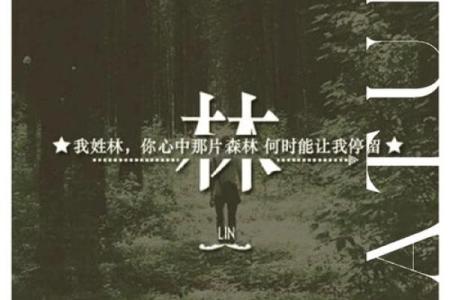 林姓男孩名字大全-林姓男孩起名字大全-林姓名字大全姓名