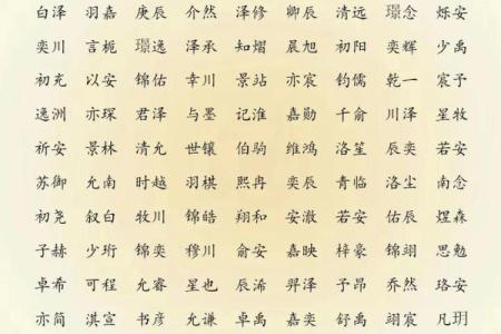 要如何给晚上8点出生的属猴男孩取名字姓名