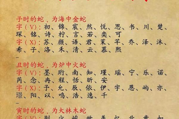 傍晚7点出生的属蛇男孩要如何起名，宜用什么字姓名